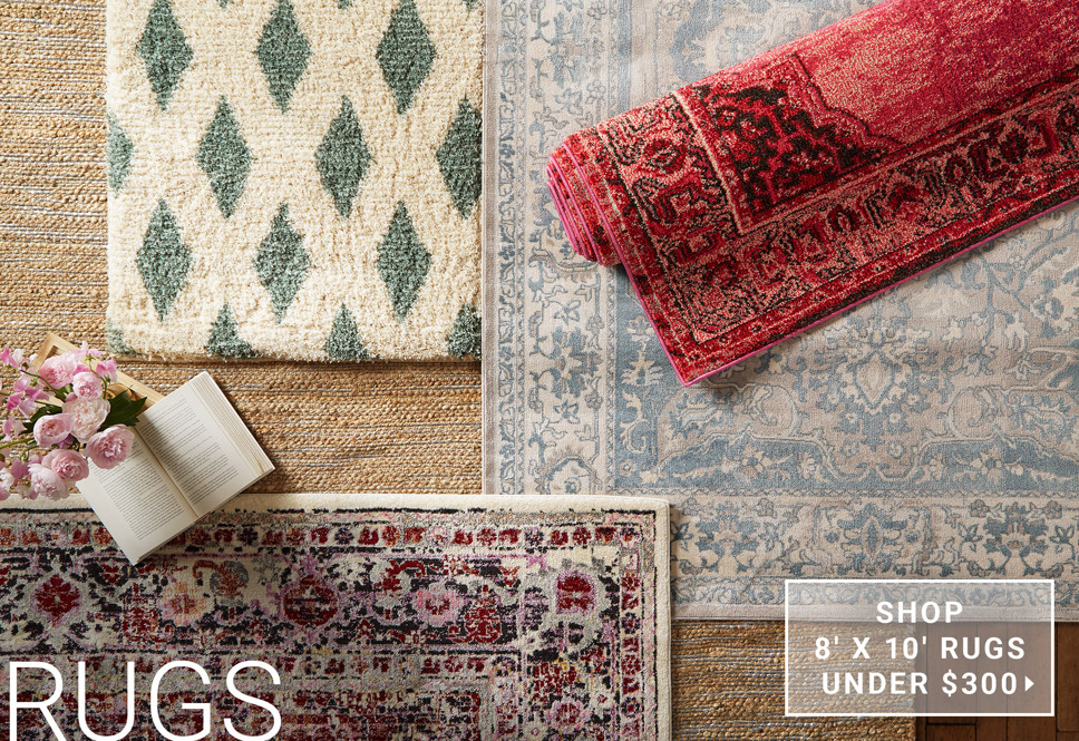 Rugs Joss & Main