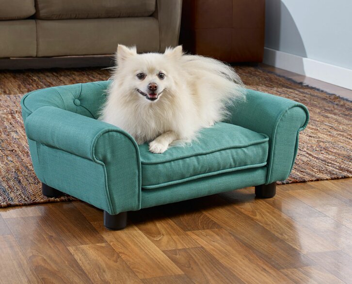 Sofa Dog Beds | Wayfair