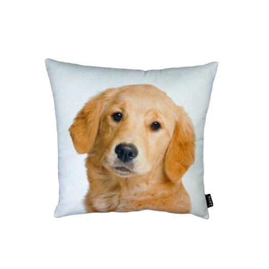 pottery barn golden retriever pillow