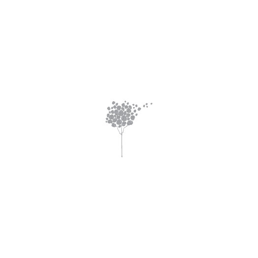ADZif Spot Small Tree Wall Decal AllModern