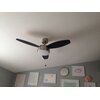 Westinghouse Lighting 42” Alloy 3 Blade Ceiling Fan & Reviews | Wayfair