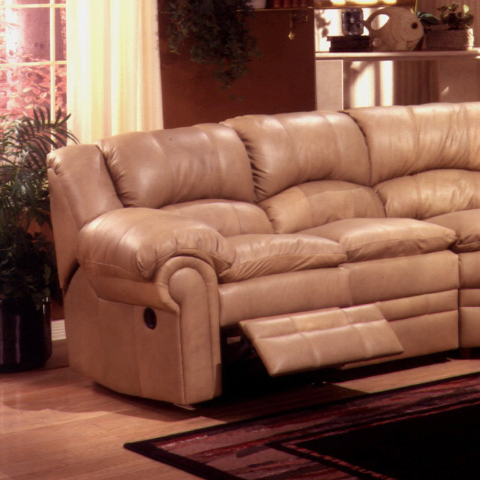 Omnia Leather Riviera Sleeper Sectional & Reviews Wayfair