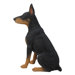 sitting doberman statue