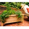 Eden Rectangular Raised Garden | Wayfair