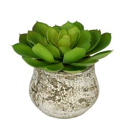 Artificial Echevaria Succulent Desk Top Plant in Decorative Vase