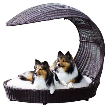 The Refined Canine Outdoor Dog Chaise Lounge & Reviews ...