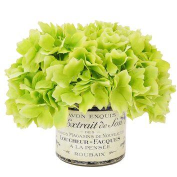 Green Hydrangea Bouquet  in a French Label Pot Wayfair