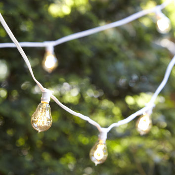Birch Lane Vintage 15-Light 25 ft. Globe String Lights Birch Lane