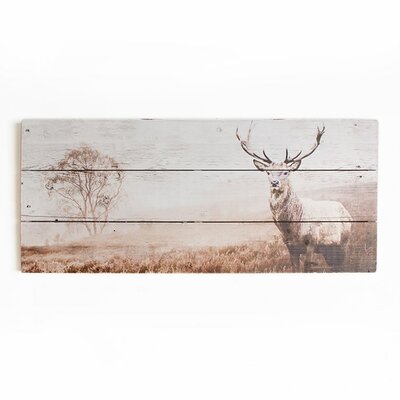 Graham &amp; Brown Wooden Visions Stag Photographic Print Plaque