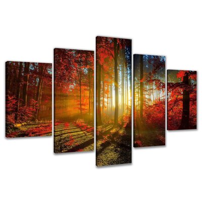 Urban Designs Trees Colorful Clearing 5 Piece Photographic Print Wrapped on Canvas Set