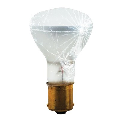 19.5W 130-Volt (2700K) R12 Elevator Light Bulb | Wayfair