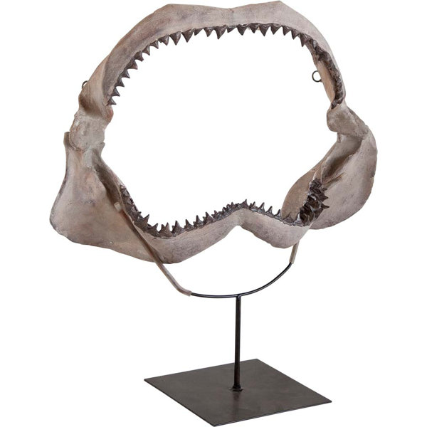 Sharppa Decorative Shark Jaw | Joss & Main