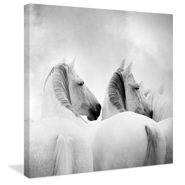 White Horse Canvas Print Joss & Main