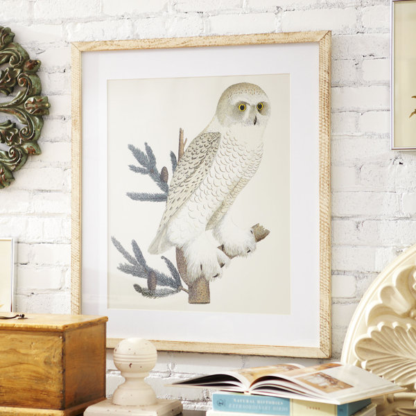 Birch Lane Owl Framed Print Birch Lane