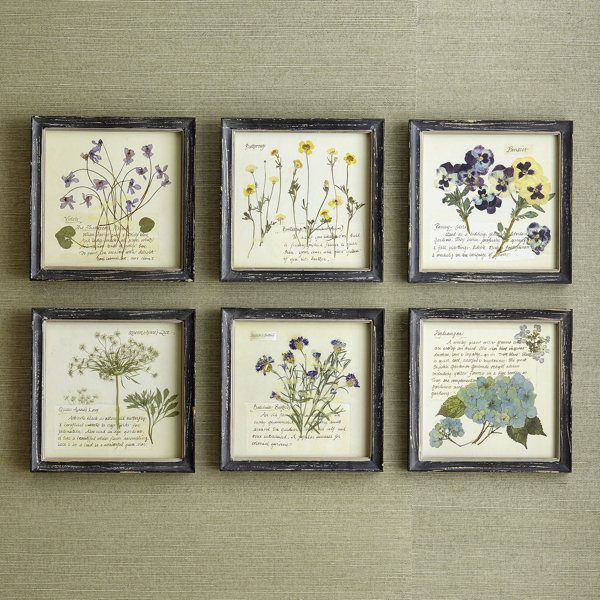 Pressed Flowers Framed Print Joss & Main