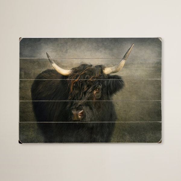 Bull Wall Decor Joss & Main