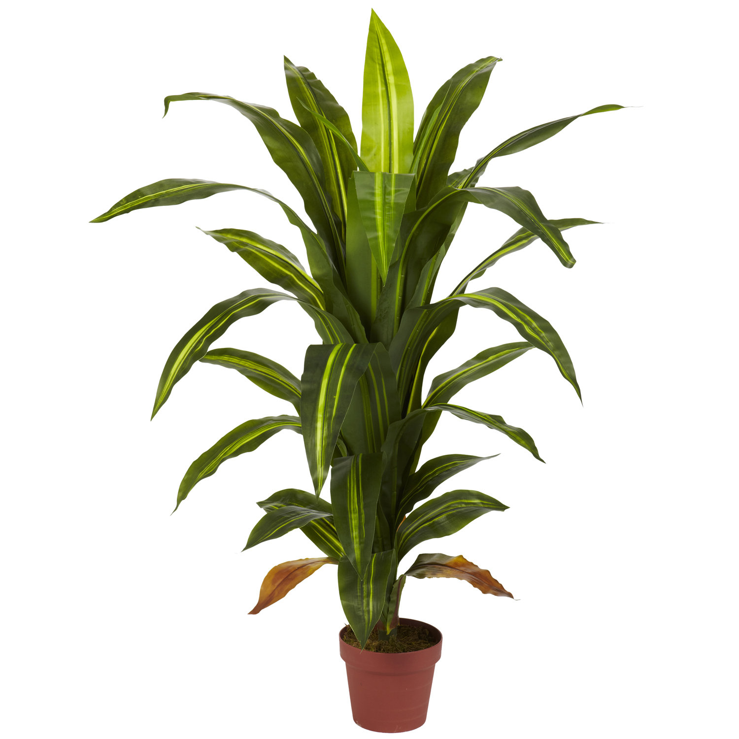 Nearly Natural Dracaena Silk Floor Plant in Pot &amp; Reviews