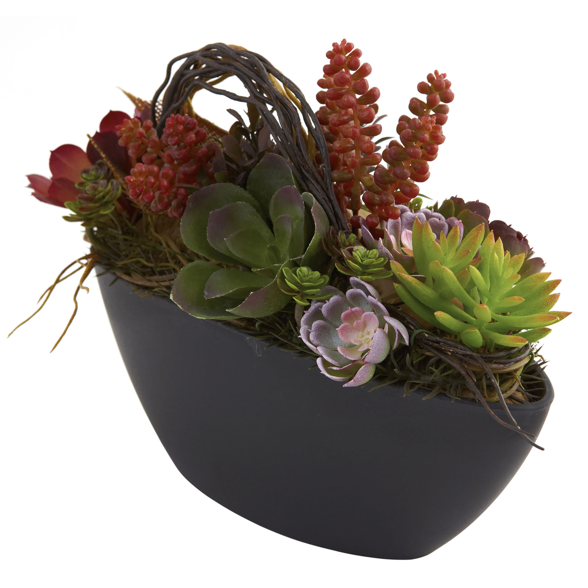 Nearly Natural Mixed Succulent Desk Top Plant in Pot Wayfair