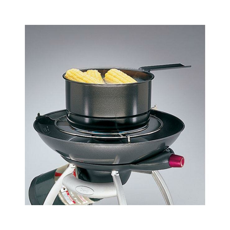 coleman roadtrip propane party grill