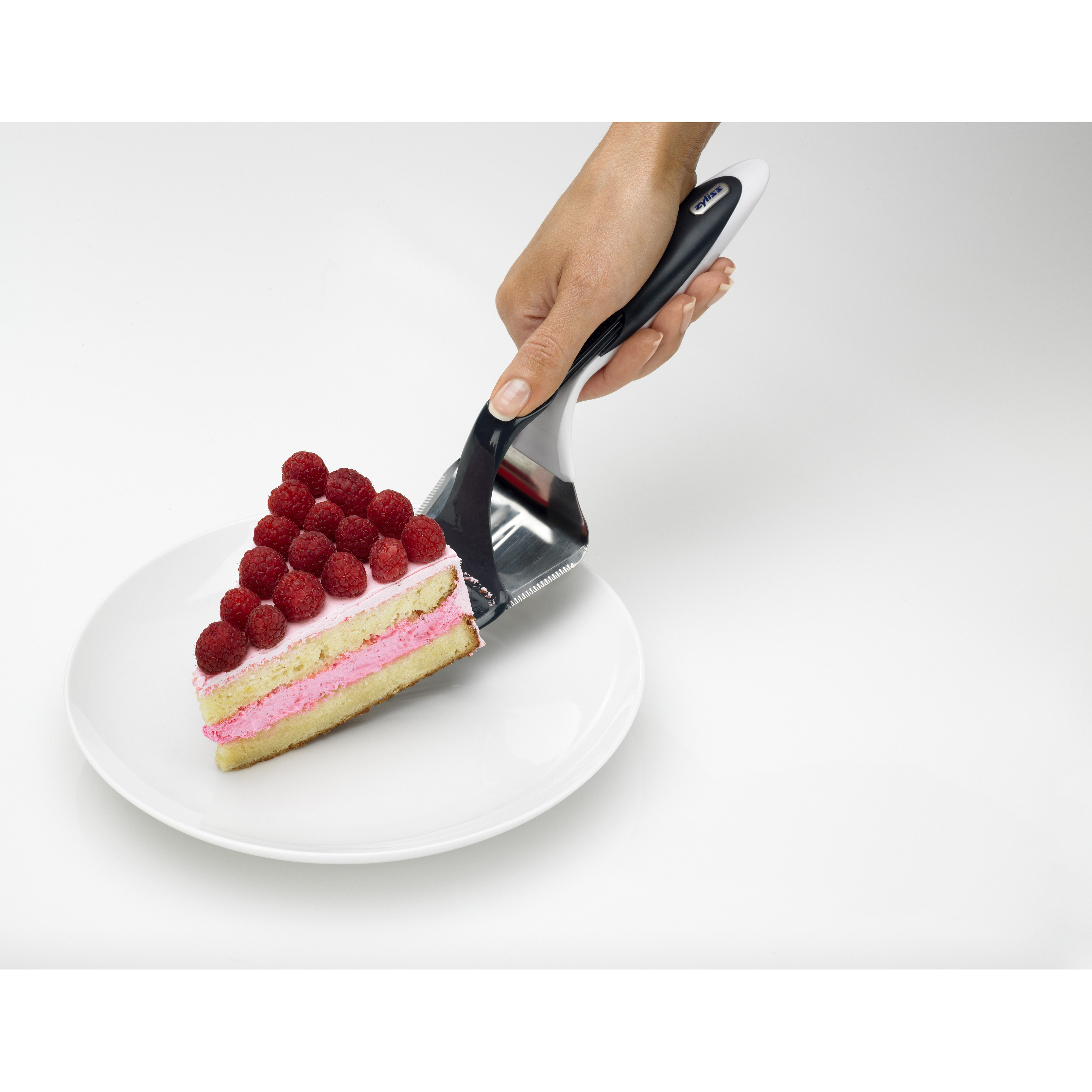 Cake / Pastry Server Wayfair.ca