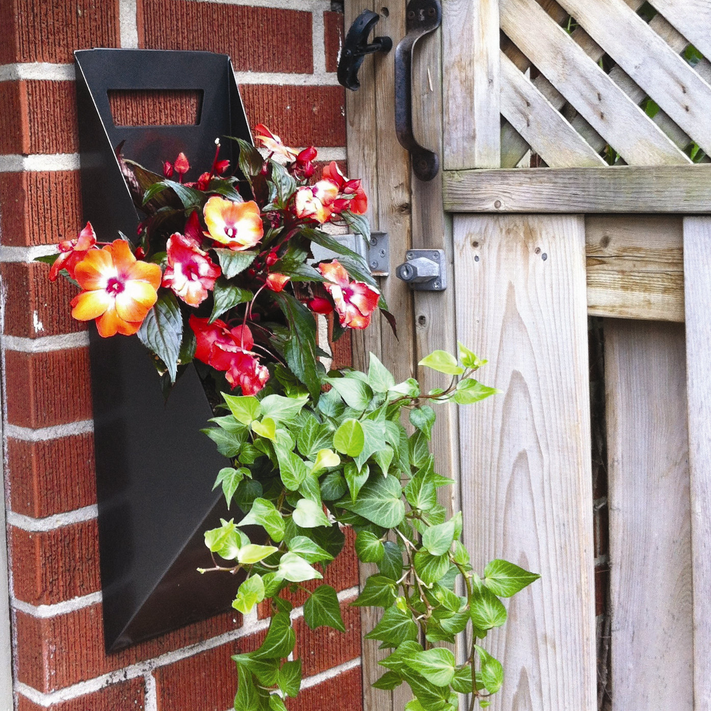 Novelty Wall and Hanging Planter Wayfair