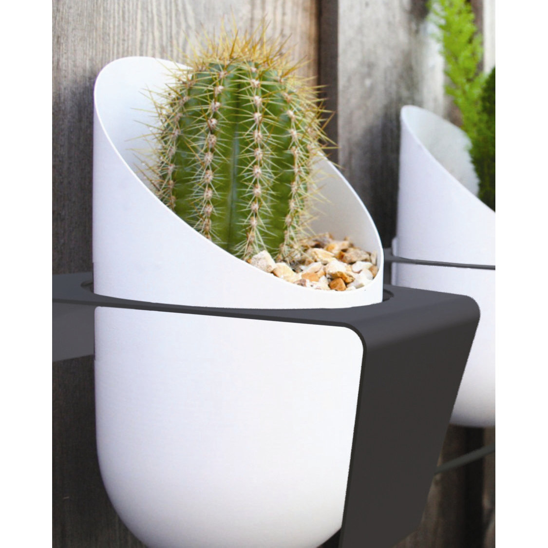 Decorpro Novelty Hanging Planter AllModern