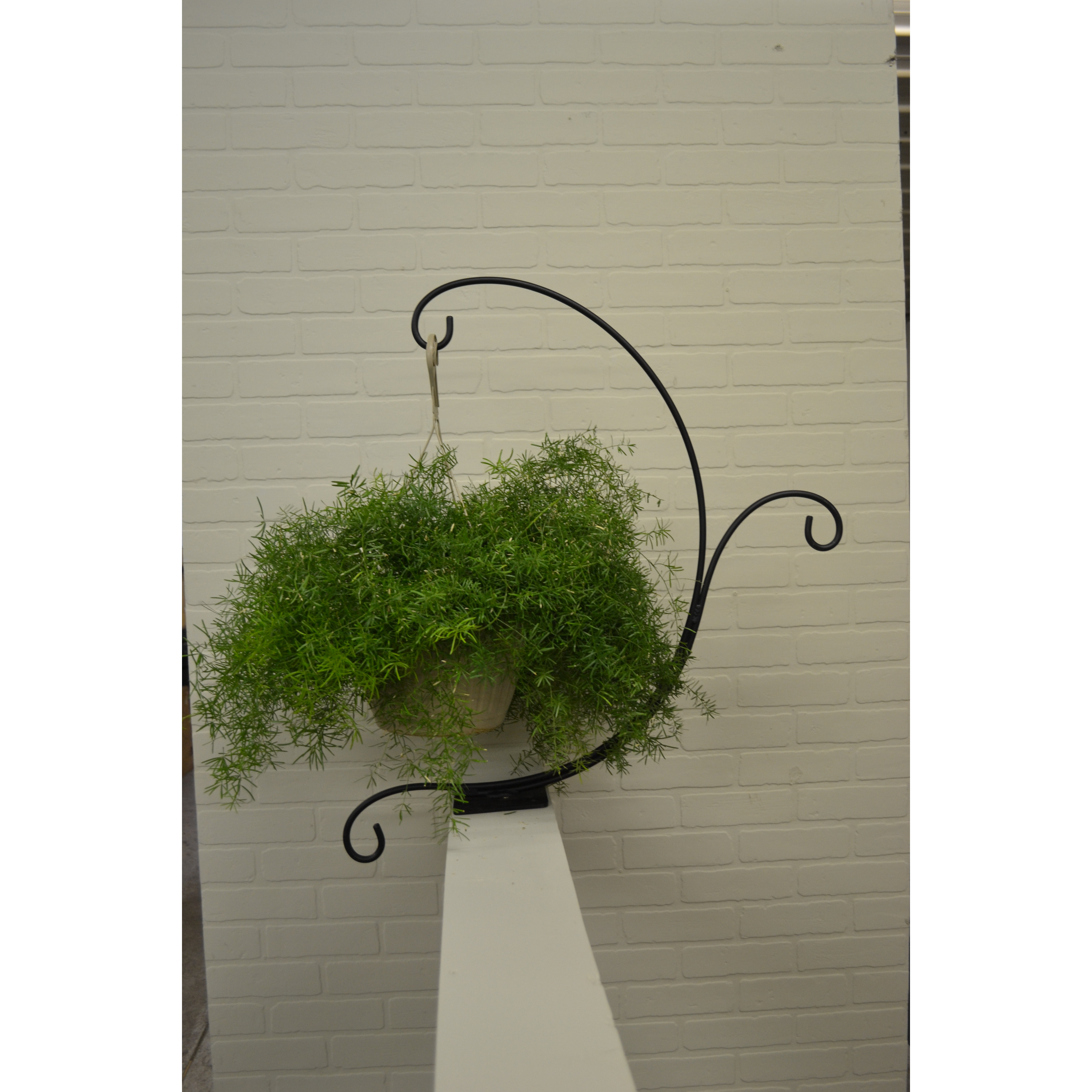 J & J Wire Novelty Hanging Planter & Reviews Wayfair