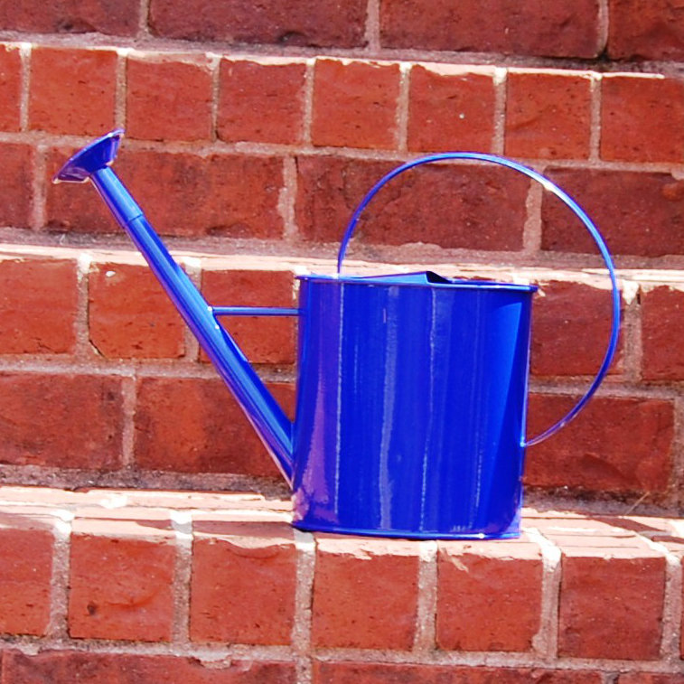 Metal 1 Gallon Watering Can with Long Spout Wayfair