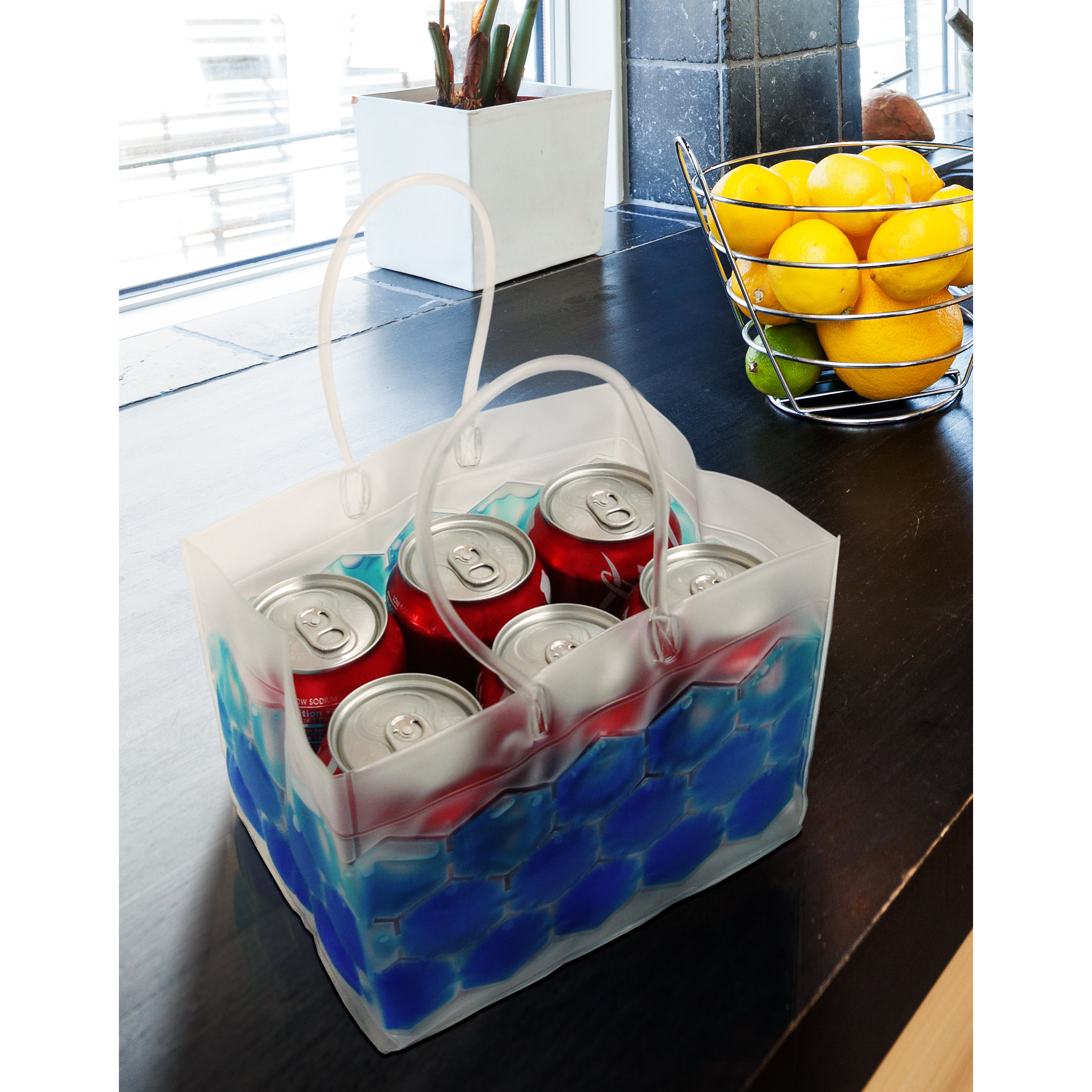 6Pack Chiller Bag Wayfair