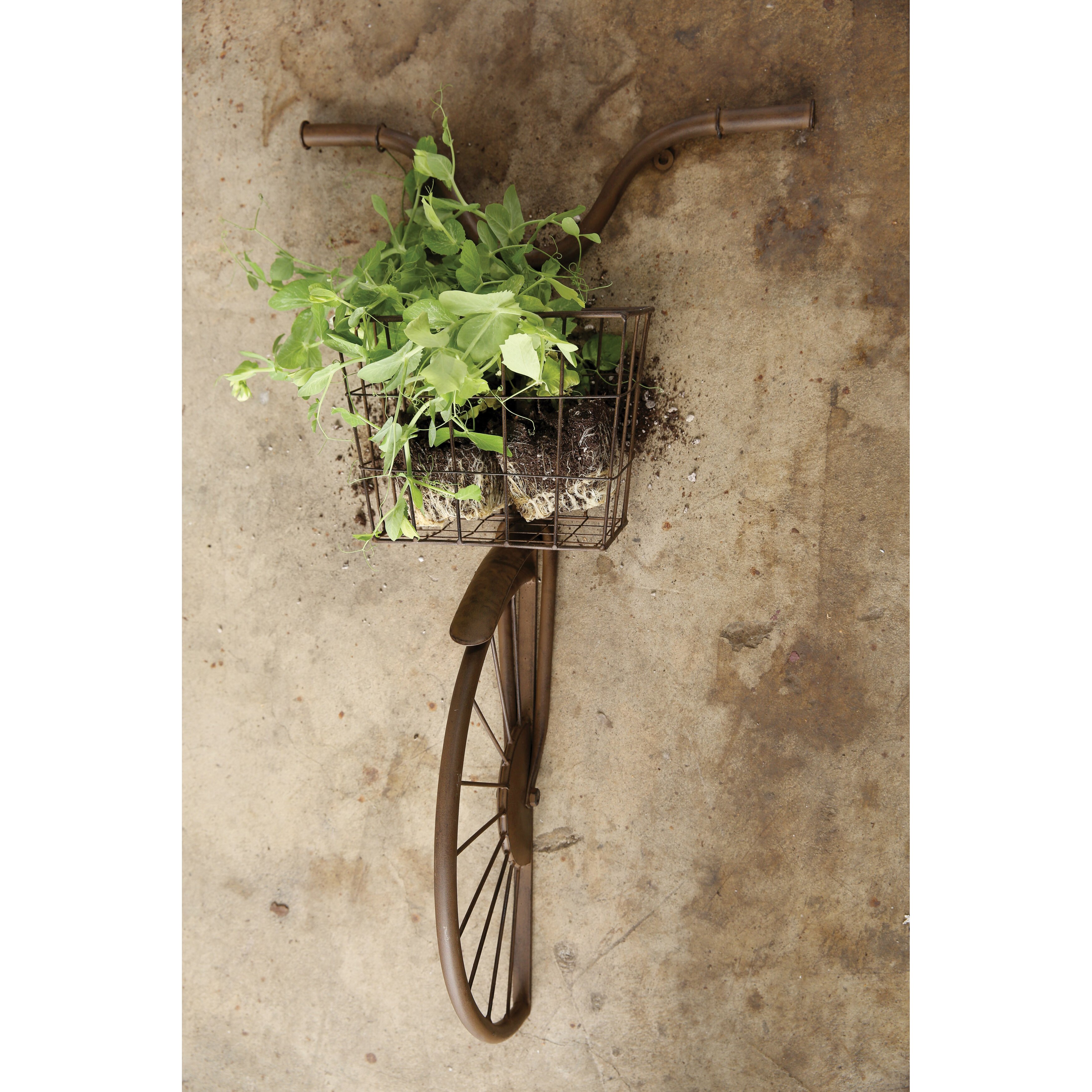 Creative Co-Op Garden Bike Wall Décor & Reviews | Wayfair