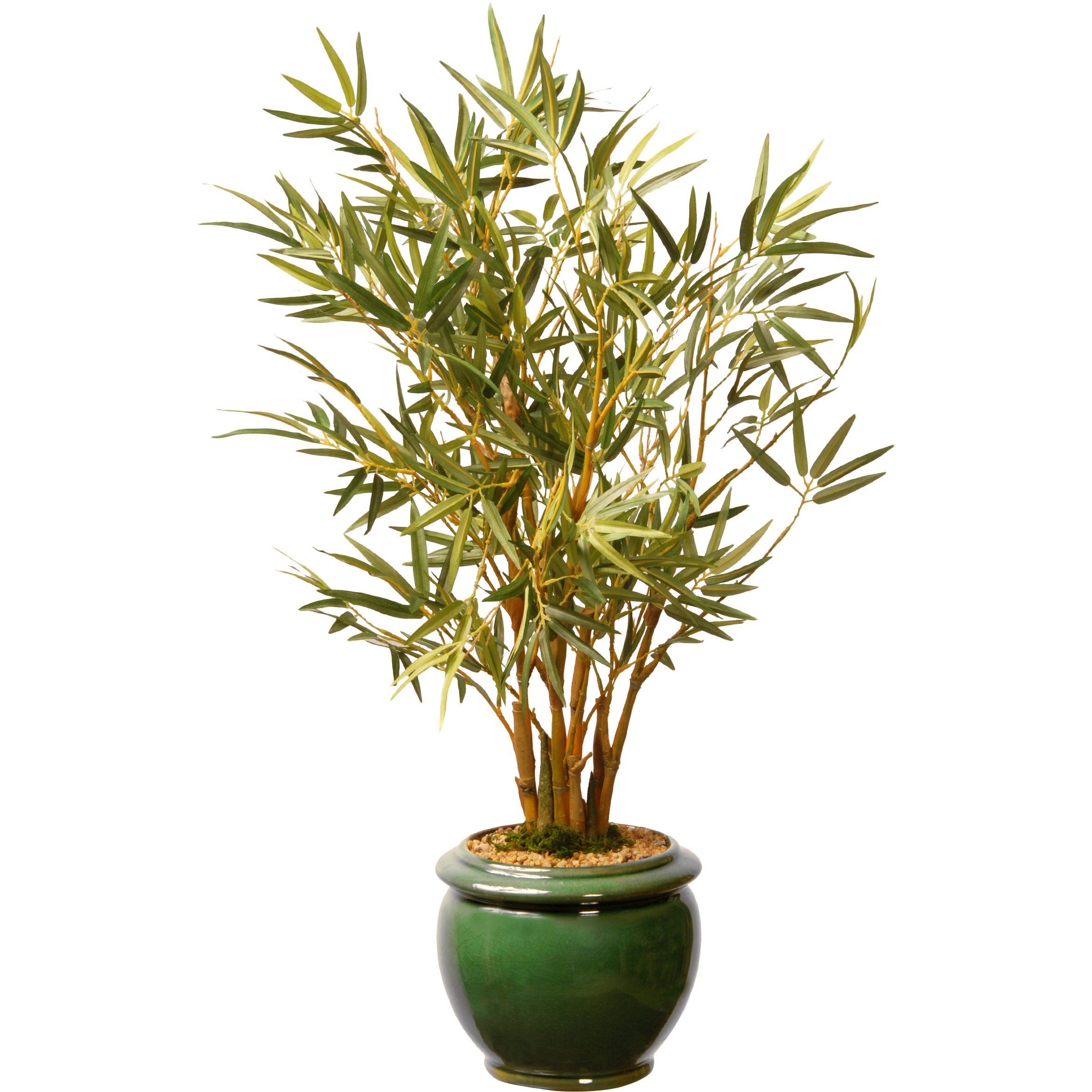 National Tree Co. Bamboo Plant in Pot & Reviews Wayfair