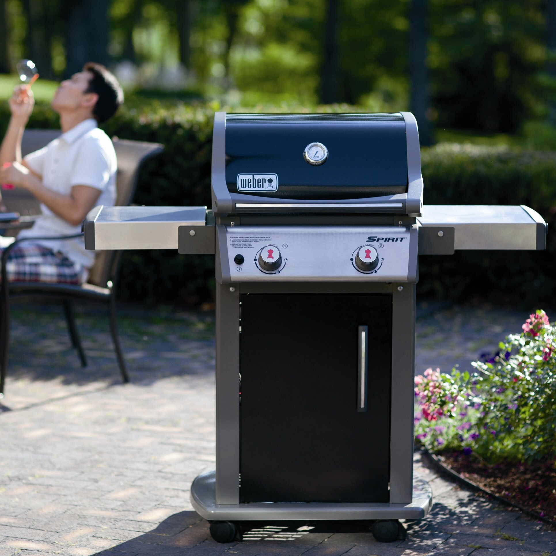 Weber Spirit® E210™ LP Gas Grill & Reviews Wayfair