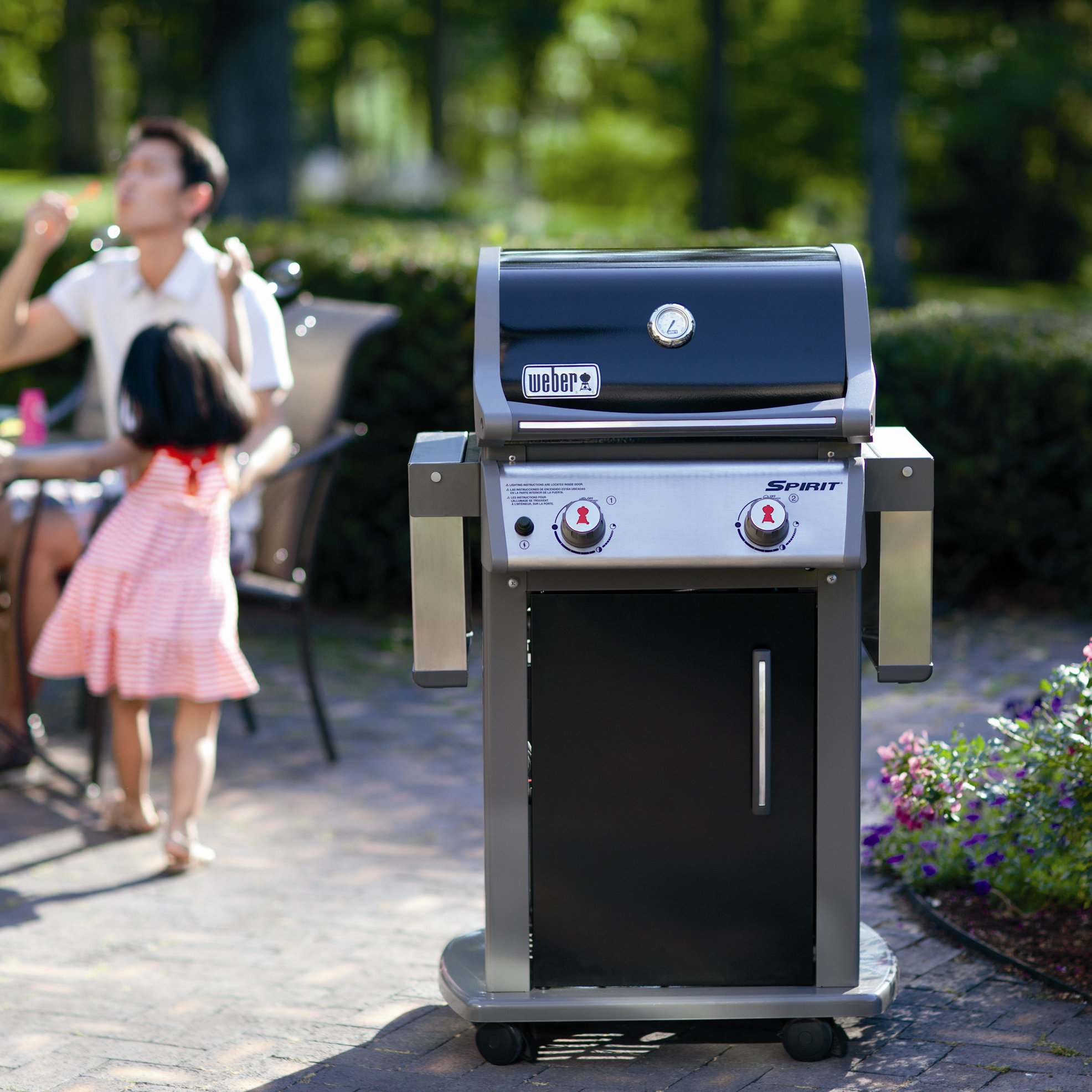 er Spirit® E210™ LP Gas Grill & Reviews Wayfair