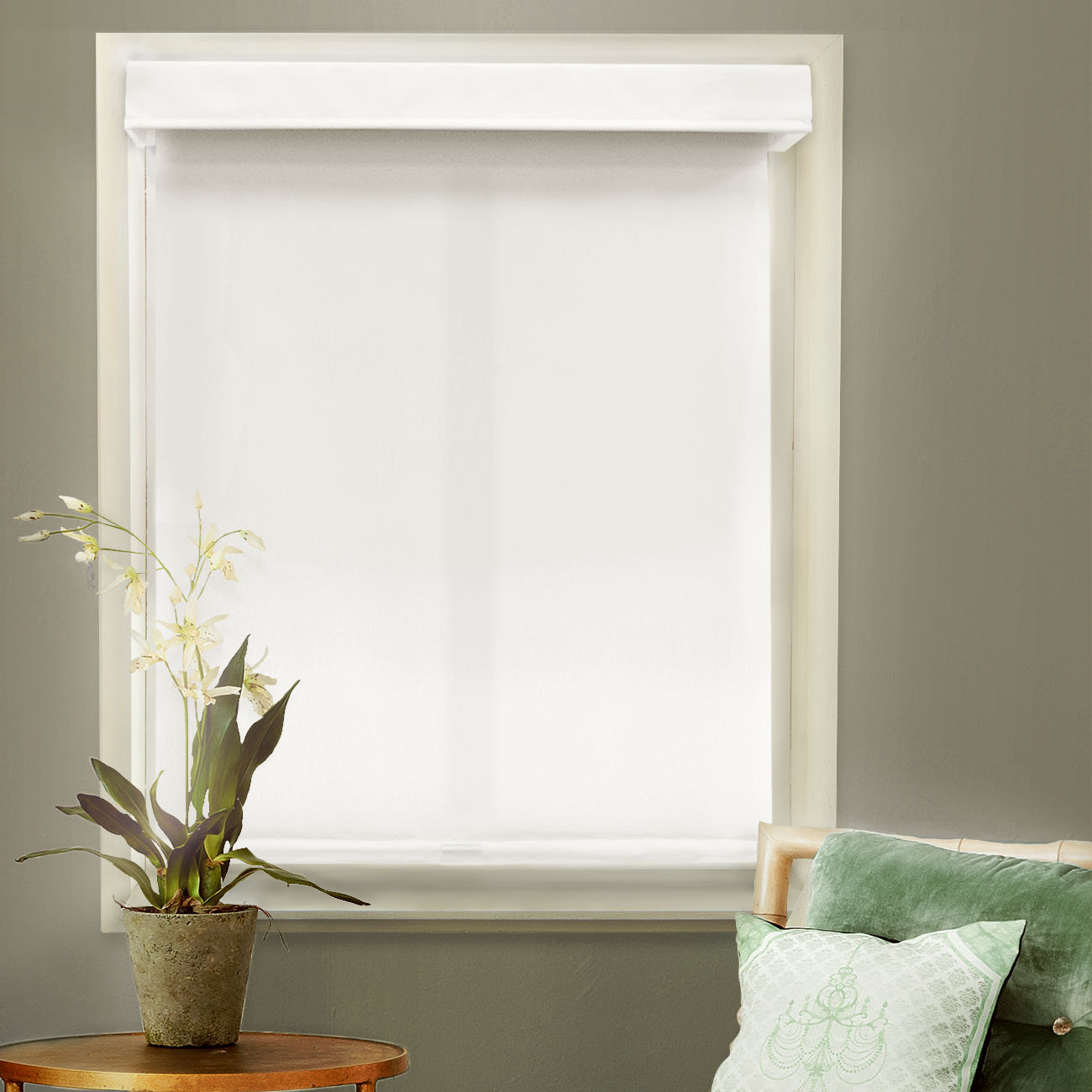 Chicology Mountain Cordless Privacy Thermal Roller Shade & Reviews