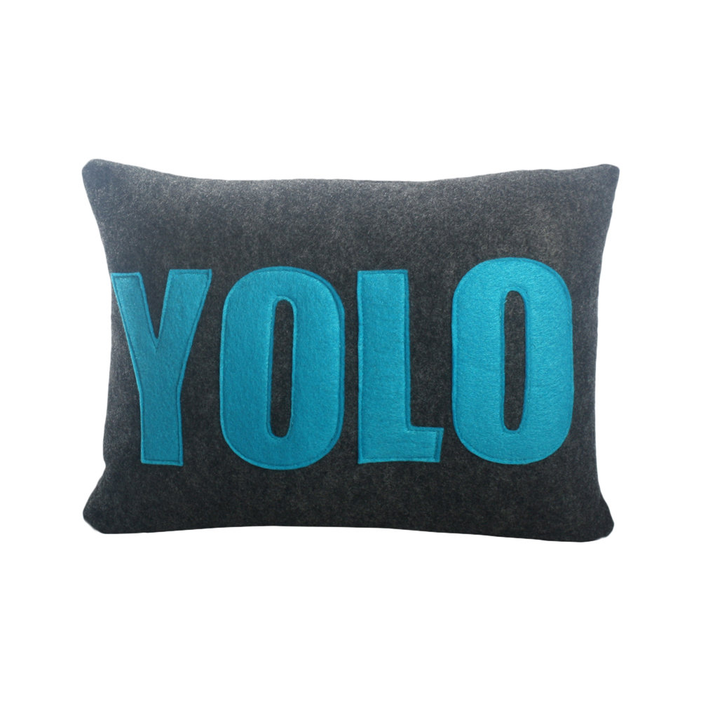 Alexandra Ferguson Modern Lexicon YOLO Decorative Throw Pillow AllModern