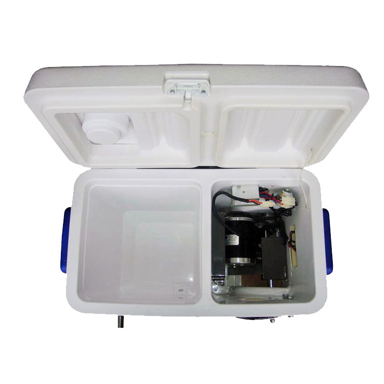 Cruzin' Cooler Electric Cruzin' Cooler & Reviews Wayfair