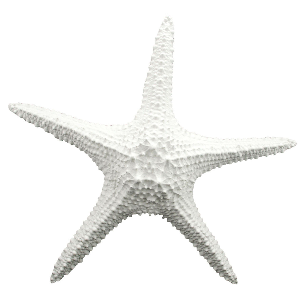 Fetco Home Decor Cruz Starfish Wall Décor & Reviews Wayfair