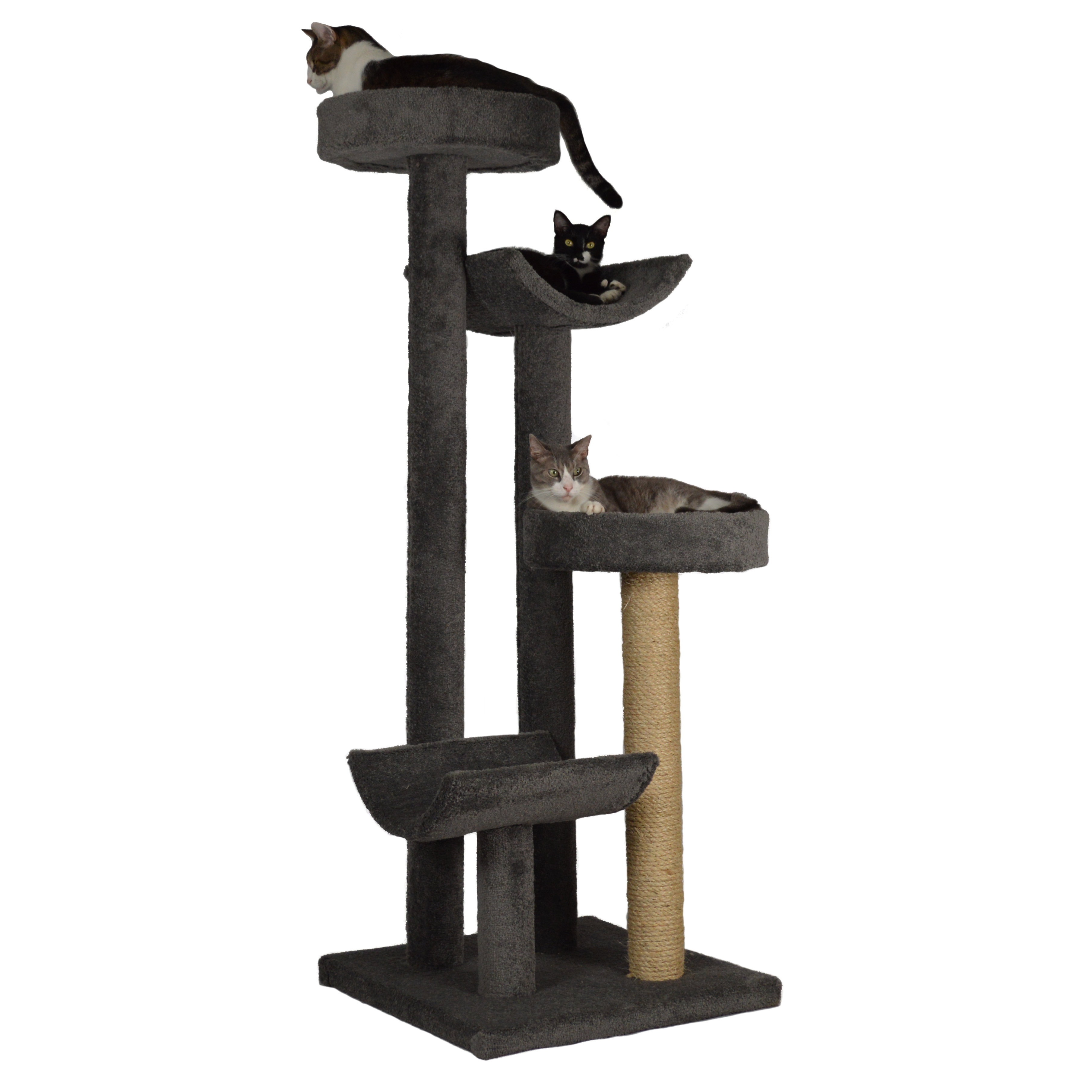 66" Bed and Cradle Cat Tree Wayfair
