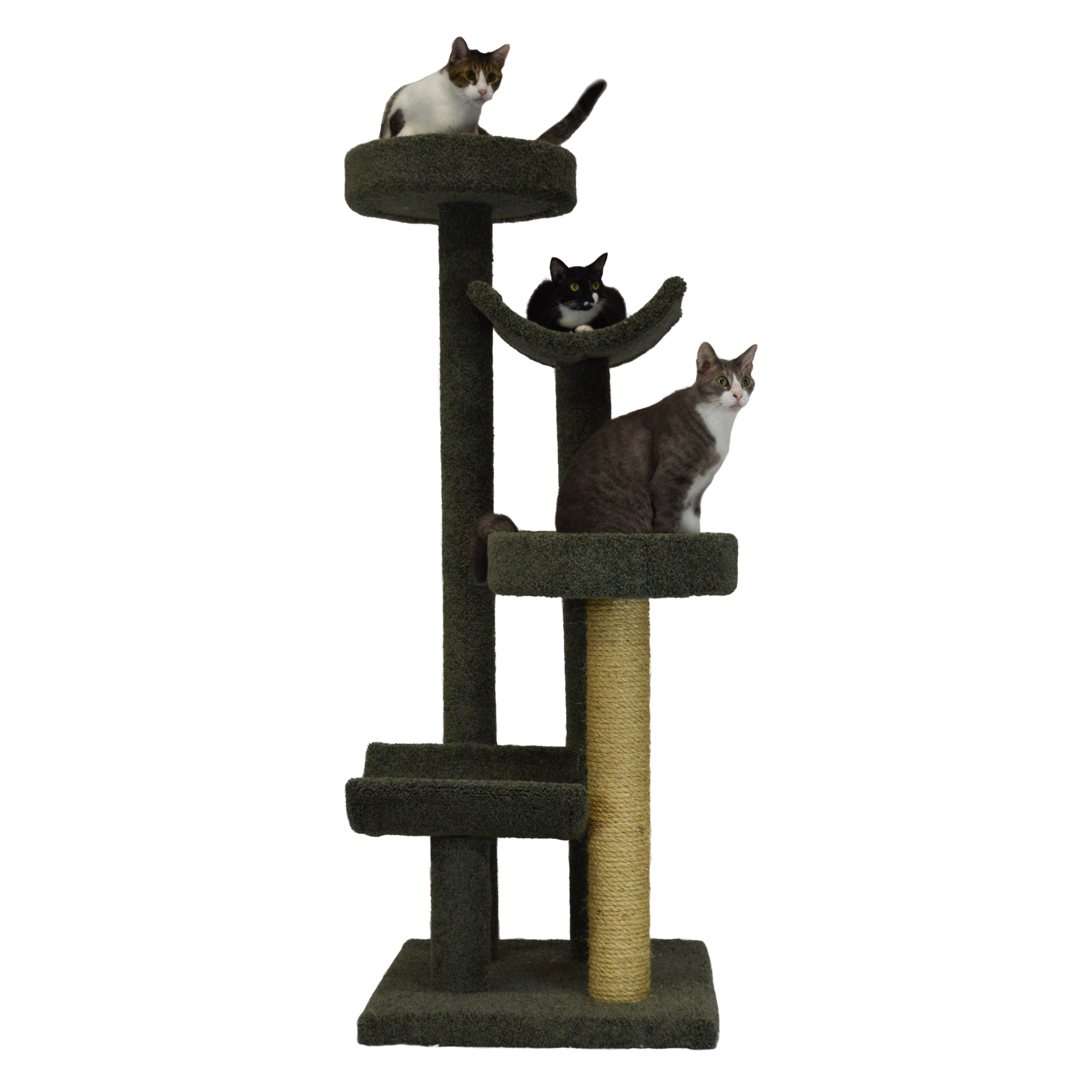 66" Bed and Cradle Cat Tree Wayfair