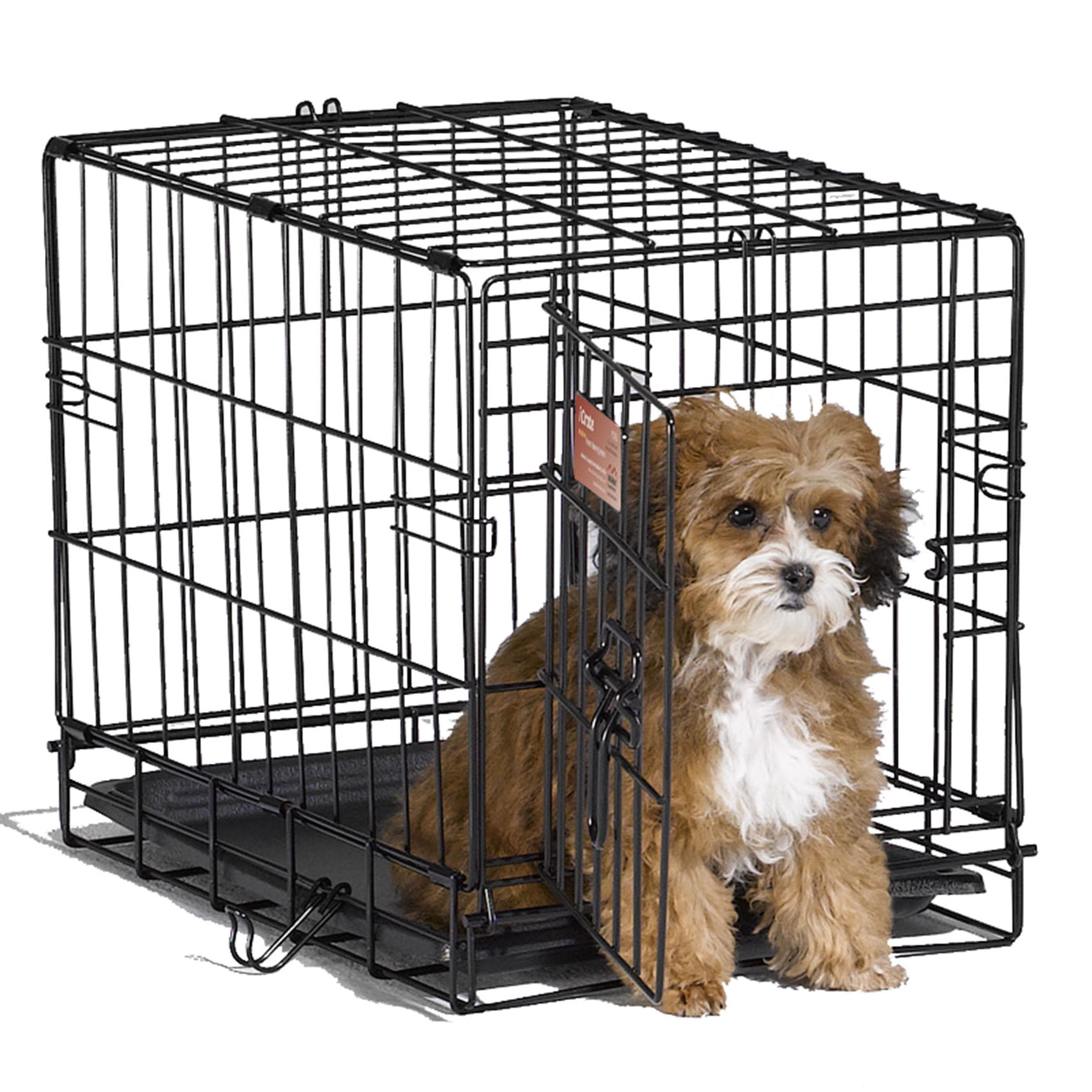 Midwest Homes For Pets iCrate Single Door Pet Crate & Reviews Wayfair