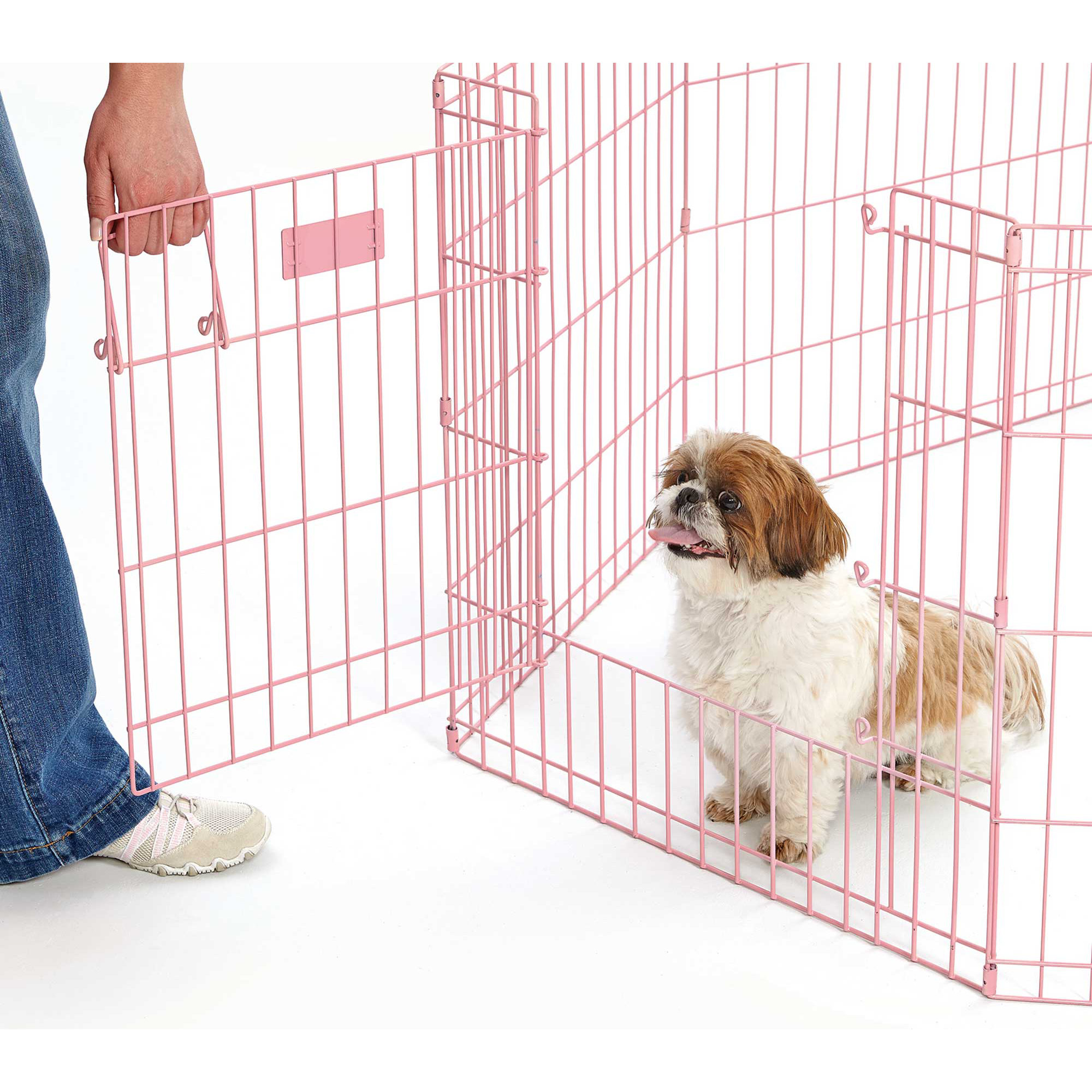 iCrate Fashion Edition Pet Crate Wayfair