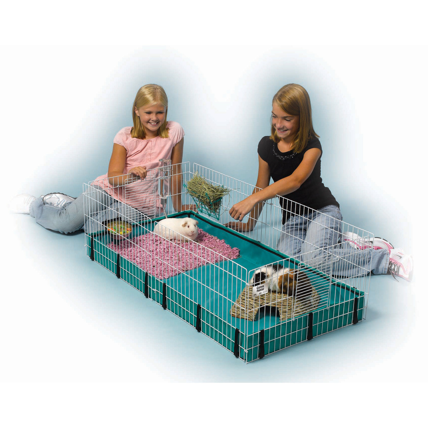 Guinea Pig Playpen Wayfair