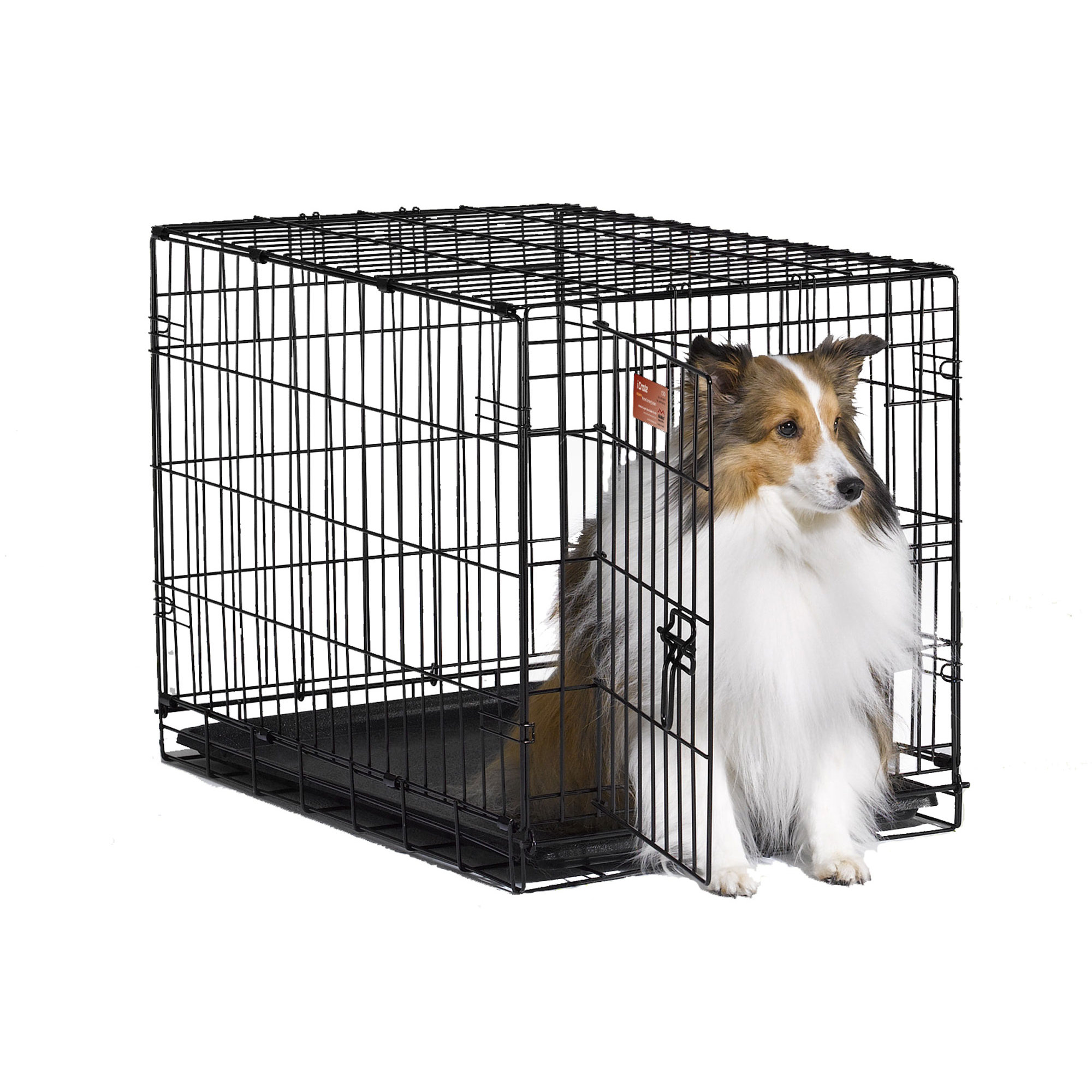 Midwest Homes For Pets iCrate Single Door Pet Crate & Reviews Wayfair