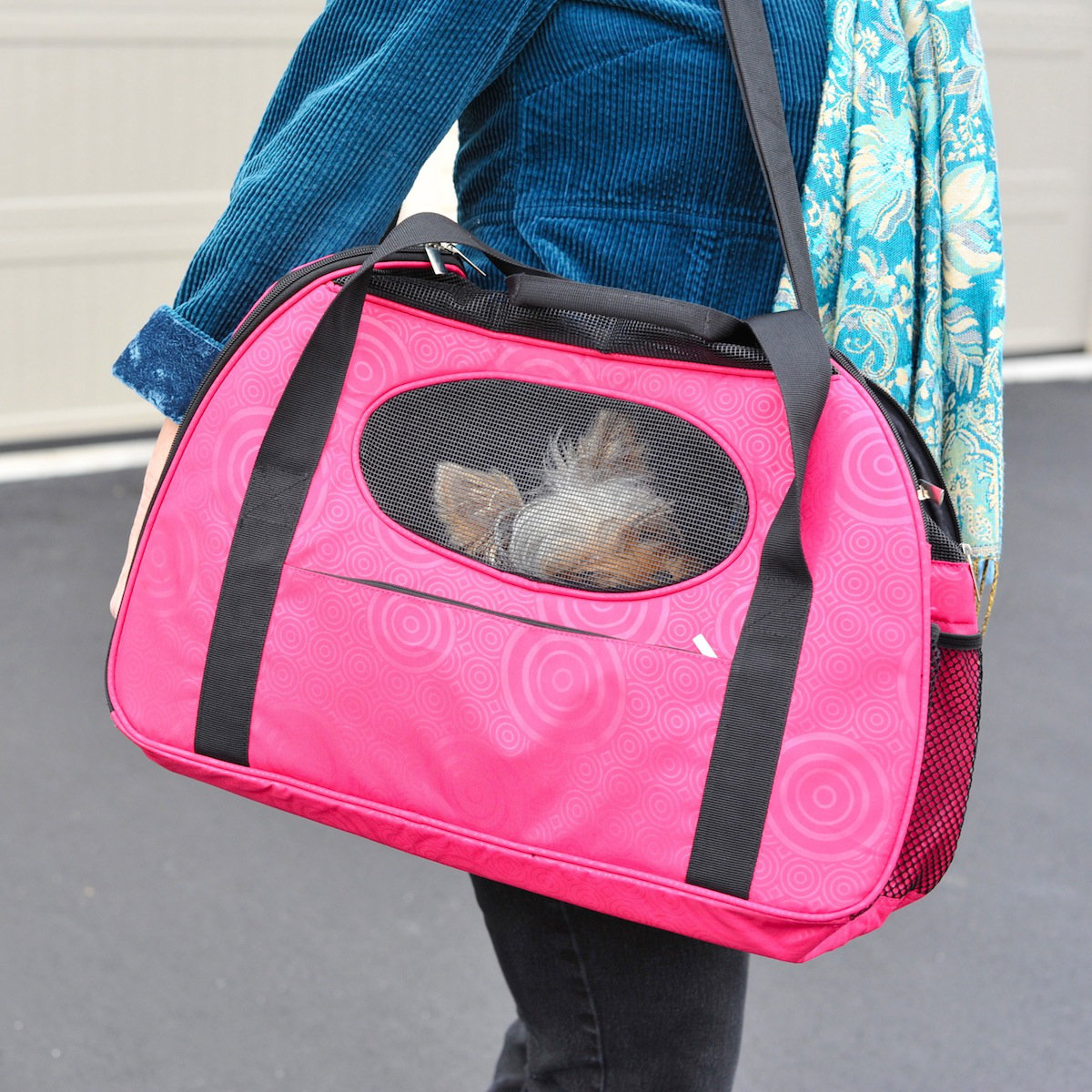 Gen7Pets CarryMe Fashion Pet Carrier & Reviews Wayfair