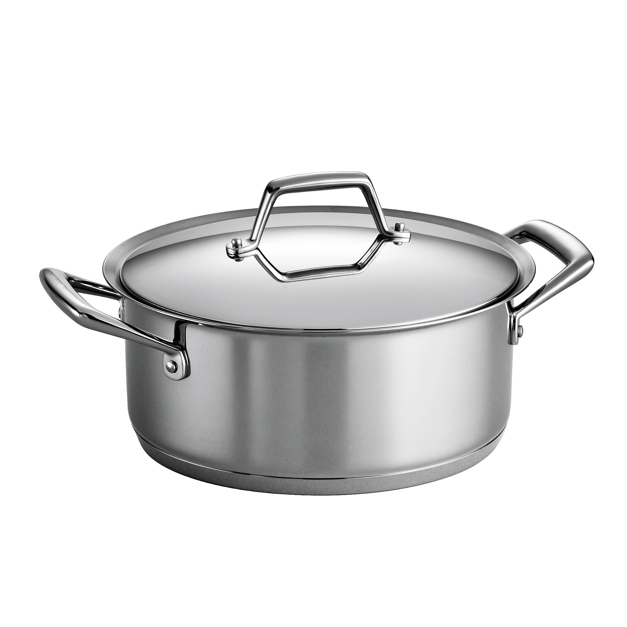 Gourmet Prima 6-qt. Stock Pot with Lid | Wayfair