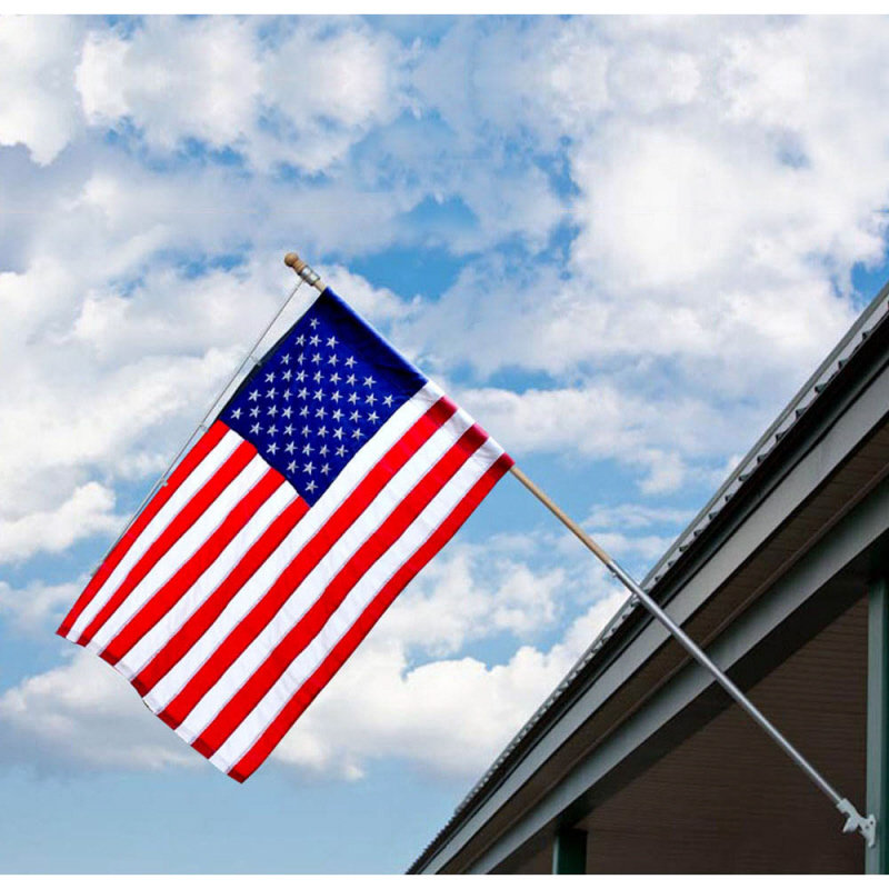 Flag Buddy Pole Wayfair