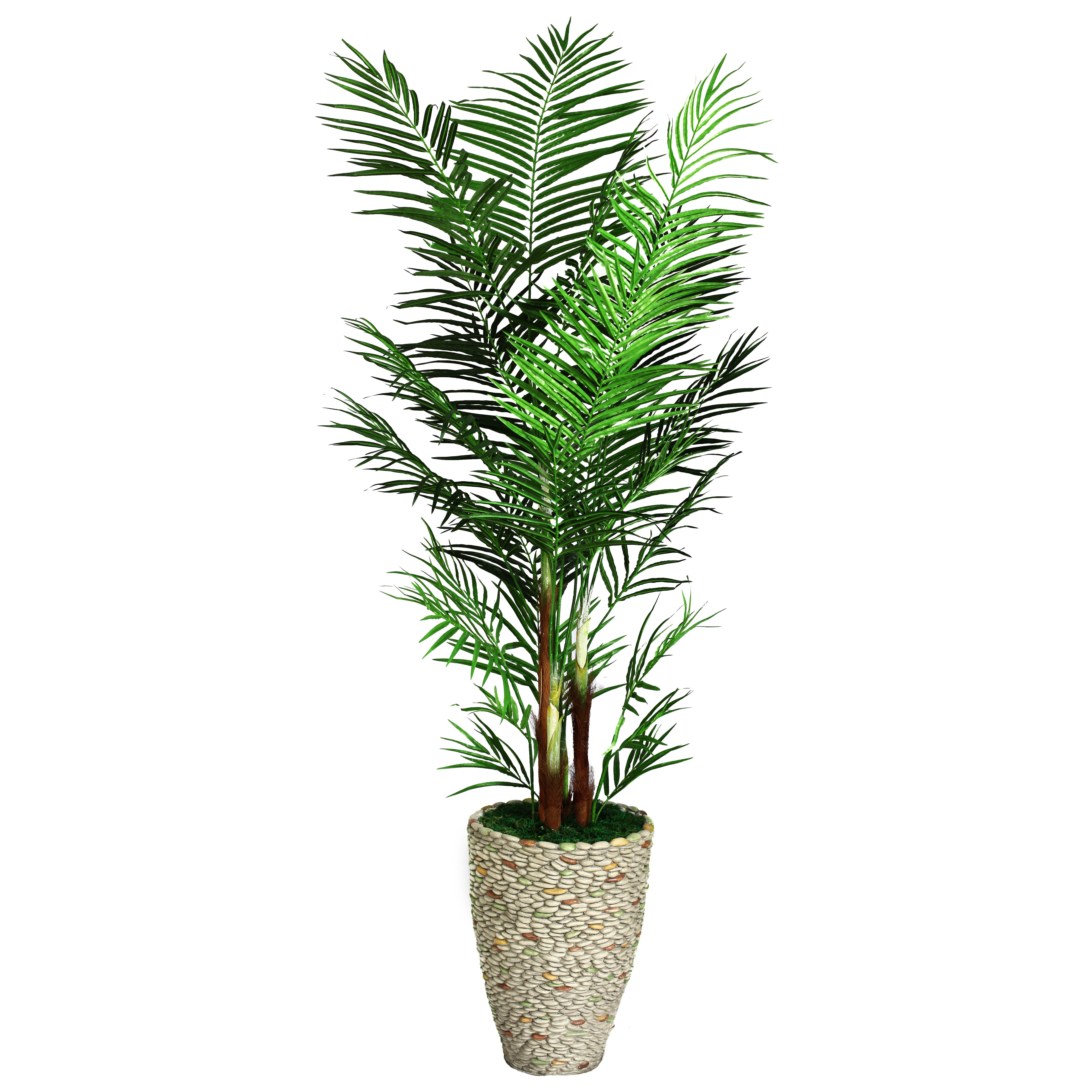 Tall Areca Palm Tree in Planter Wayfair