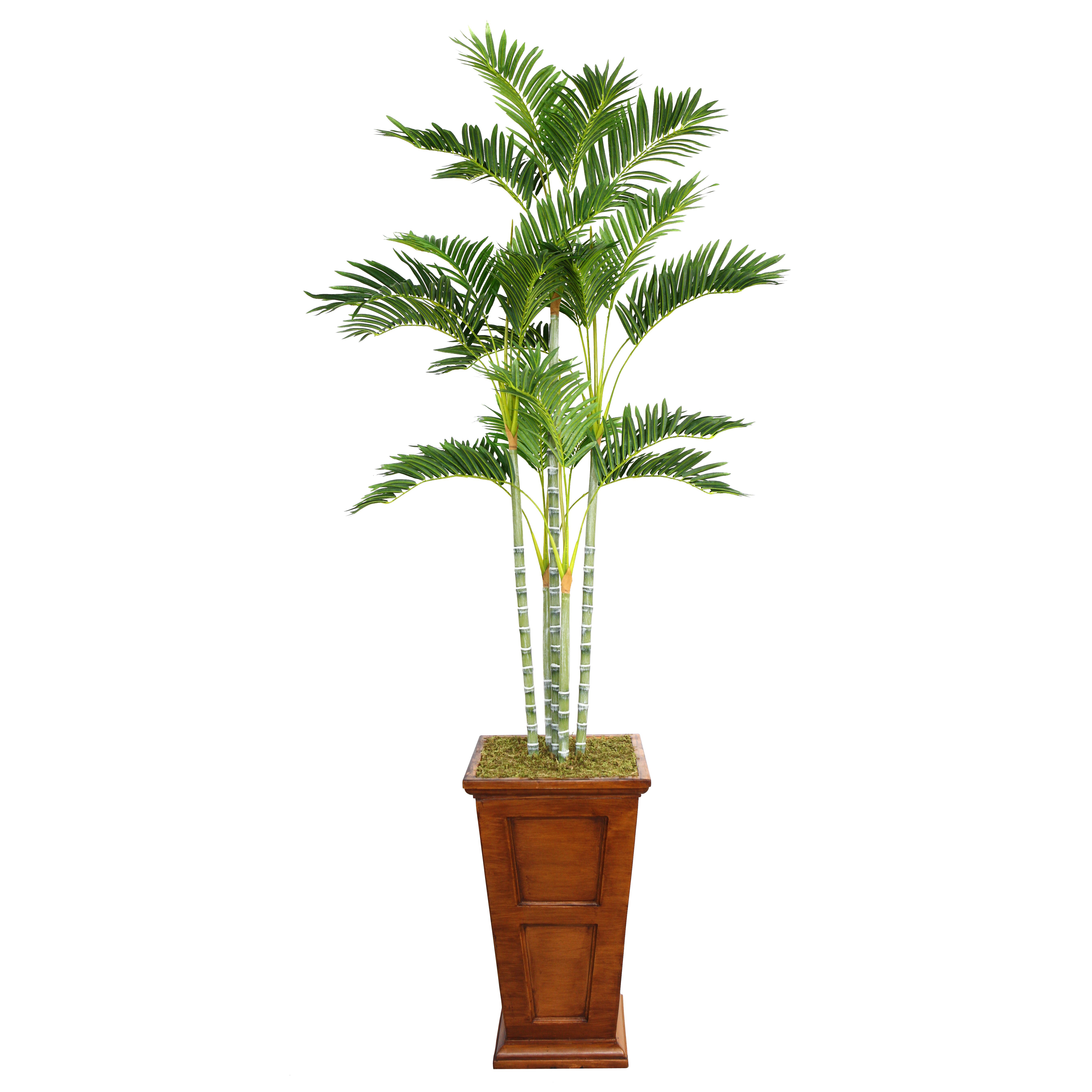 Tall Palm Tree in Planter | Wayfair