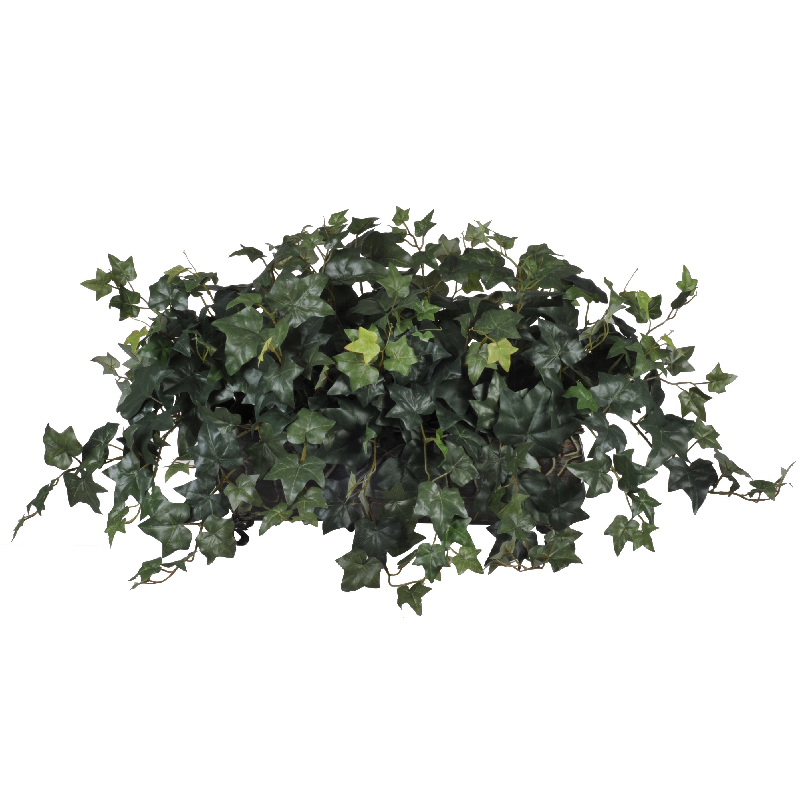 House of Silk Flowers Artificial English Ivy Ledge Desk