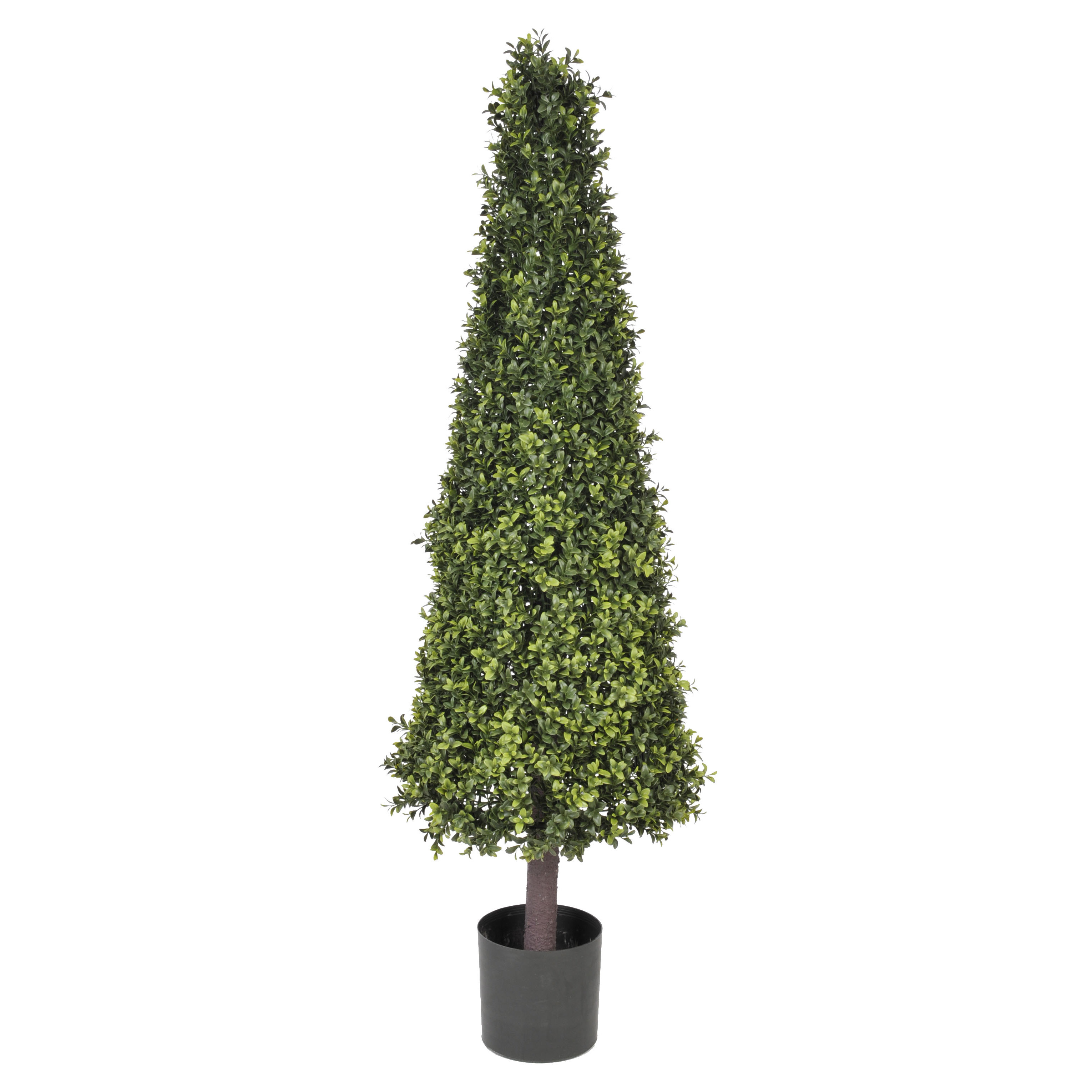 Artificial Boxwood Cone Topiary in Planter Wayfair
